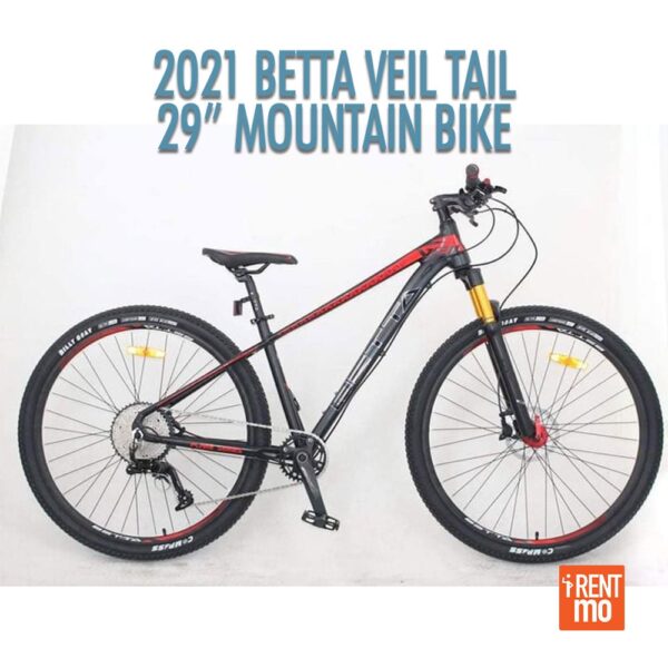 betta bike 29er