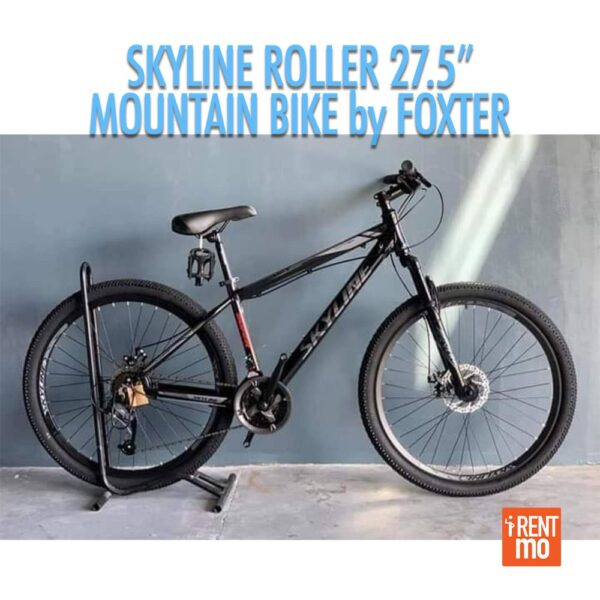 skyline mountain bike price