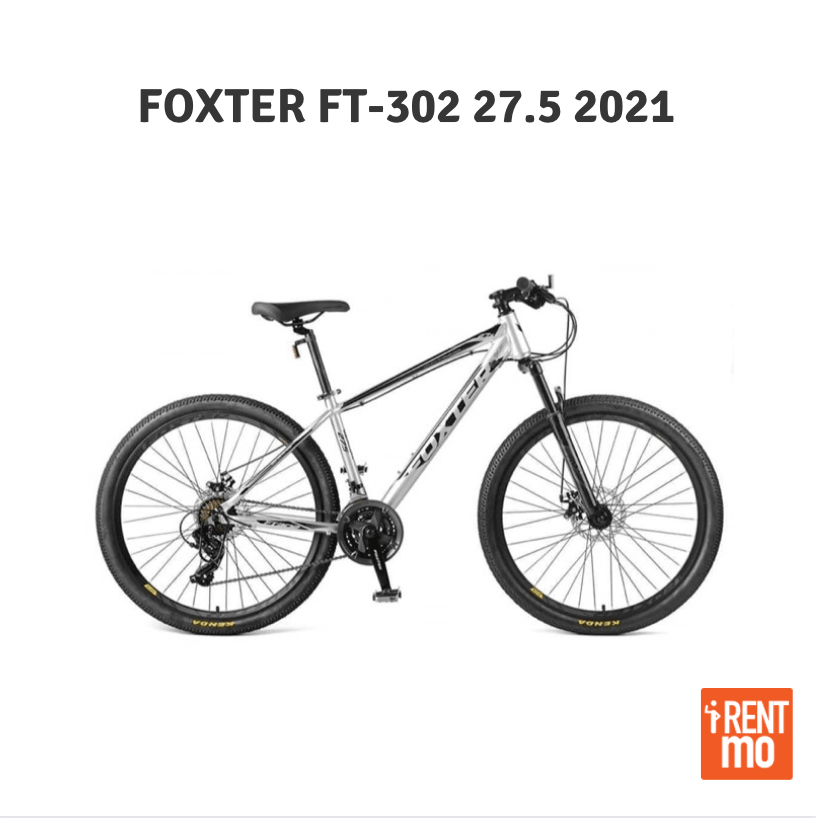 Foxter FT 302