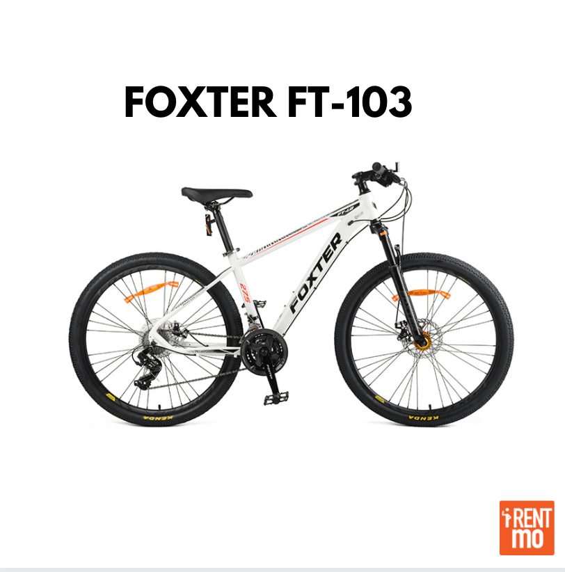 Foxter FT-103 27.5