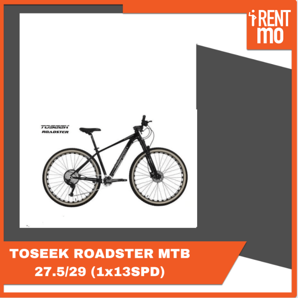TOSEEK ROADSTER MTB 27.5/29 (1x13SPD)