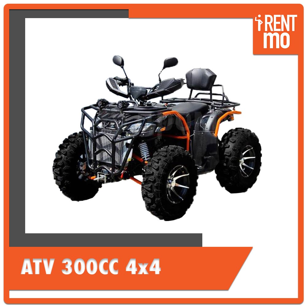 AGY 300cc 4x4 ATV Quad bike